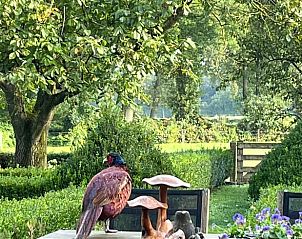Unterkunft 326526 - Ferienhaus Veluwe - Vakantiehuisje in Nijkerk