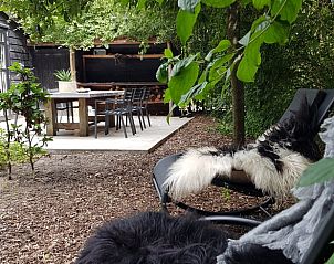 Unterkunft 326527 - Ferienhaus Veluwe - Vakantiehuisje in Nijkerk