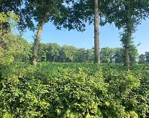 Groene omgeving van Huisje in Nijkerk, vakantiehuis in Gelderland.