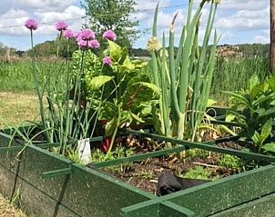 Groentetuin bij Huisje in Nijkerk, vakantiehuis in Nijkerk, Veluwe, omgeven door natuur en rust.