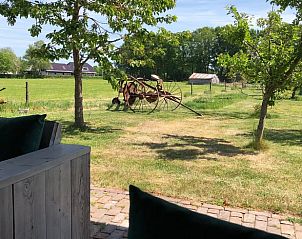 Uitzicht vanaf het terras van Huisje in Nijkerk, vakantiehuis op de Veluwe, met groen landschap.
