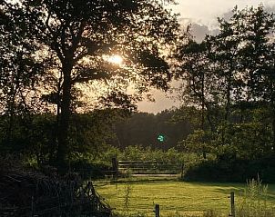 Unterkunft 326536 - Ferienhaus Veluwe - Vakantiehuisje in Nijkerk