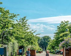 Unterkunft 326562 - Ferienhaus Veluwe - Vakantiehuis Exclusif 4