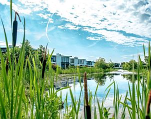 Prachtig uitzicht op de natuur rondom Vakantiehuis Cube Magnifique 8, Nijkerk, Veluwe, Gelderland.