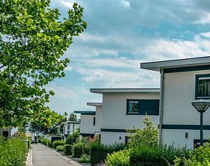 Strakke straat met vakantiewoningen bij Vakantiehuis Cube Magnifique 8, Nijkerk, Veluwe, Gelderland.