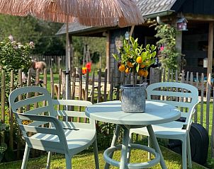 Buitenterras van Vakantiehuisje in Kootwijkerbroek, Veluwe, met zitje en parasol in een groene omgeving.