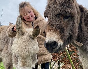Kind speelt met ezels bij Vakantiehuisje in Kootwijkerbroek, Veluwe, een unieke ervaring met dieren.