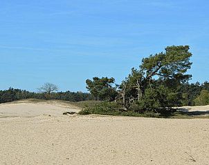 Uitgestrekt zandlandschap nabij Vakantiehuis in Kootwijkerbroek, Veluwe, Gelderland.