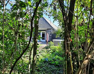 Vakantiehuis in Kootwijkerbroek verscholen in groen, Veluwe, Gelderland.