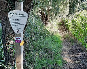 Wandelpad bij Vakantiehuis in Kootwijkerbroek, Veluwe, ideaal voor natuurwandelingen.