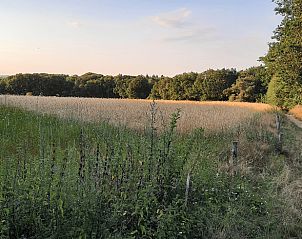 Veluwe landschap bij zonsondergang nabij Vakantiehuis in Kootwijkerbroek, Gelderland.
