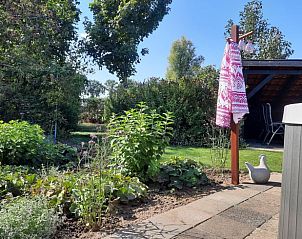Tuin van Vakantiehuis in Kootwijkerbroek met groene planten, Veluwe, Gelderland.
