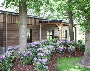 Bloemenrijke tuin bij Vakantiehuisje in Kootwijkerbroek, Veluwe, Gelderland.