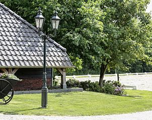 Rustieke omgeving van Vakantiehuisje in Kootwijkerbroek, Veluwe, Gelderland.