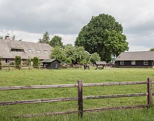 Uitzicht op boerderij bij Vakantiehuisje in Kootwijkerbroek, Veluwe, Gelderland.
