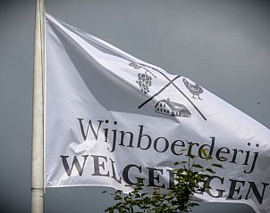 Vlag van Wijnboerderij bij Vakantiehuisje in Kootwijkerbroek, Veluwe, Gelderland.
