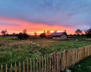 Guest house 326803 - Tent house Veluwe - Vakantiehuis in Klarenbeek