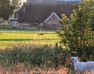Guest house 326803 - Tent house Veluwe - Vakantiehuis in Klarenbeek
