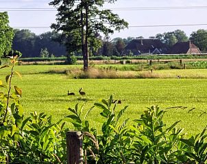 Guest house 326803 - Tent house Veluwe - Vakantiehuis in Klarenbeek