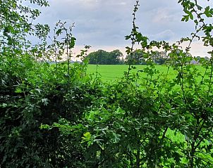 Groene omgeving van vakantiehuis in Klarenbeek, Veluwe, Gelderland