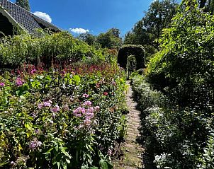 Unterkunft 326807 - Ferienhaus Veluwe - Huisje in Klarenbeek