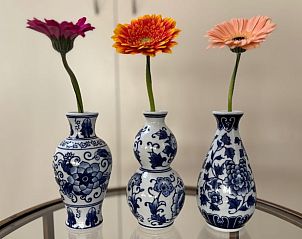 Unterkunft 326807 - Ferienhaus Veluwe - Huisje in Klarenbeek