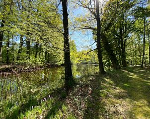 Unterkunft 326807 - Ferienhaus Veluwe - Huisje in Klarenbeek