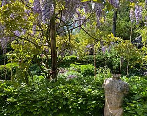Unterkunft 326807 - Ferienhaus Veluwe - Huisje in Klarenbeek
