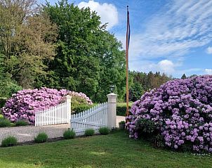 Unterkunft 326807 - Ferienhaus Veluwe - Huisje in Klarenbeek