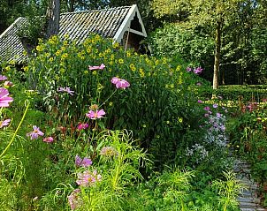 Unterkunft 326807 - Ferienhaus Veluwe - Huisje in Klarenbeek