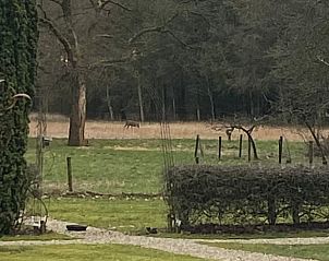 Unterkunft 326807 - Ferienhaus Veluwe - Huisje in Klarenbeek