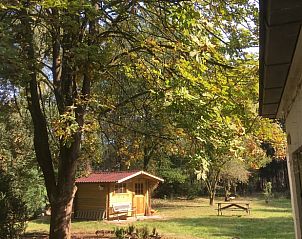 Unterkunft 326808 - Ferienhaus Veluwe - Huisje in Klarenbeek