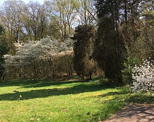 Unterkunft 326808 - Ferienhaus Veluwe - Huisje in Klarenbeek