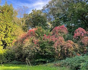 Unterkunft 326808 - Ferienhaus Veluwe - Huisje in Klarenbeek