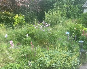 Unterkunft 326808 - Ferienhaus Veluwe - Huisje in Klarenbeek