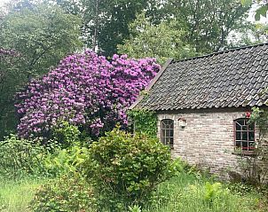 Unterkunft 326808 - Ferienhaus Veluwe - Huisje in Klarenbeek