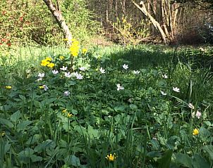 Unterkunft 326808 - Ferienhaus Veluwe - Huisje in Klarenbeek