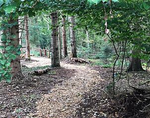 Unterkunft 326808 - Ferienhaus Veluwe - Huisje in Klarenbeek