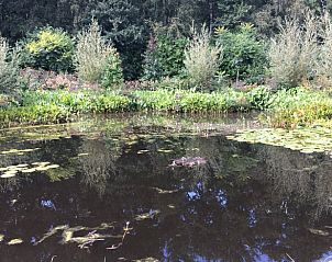Unterkunft 326808 - Ferienhaus Veluwe - Huisje in Klarenbeek