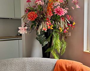 Unterkunft 326809 - Ferienhaus Veluwe - Vakantiehuisje in Klarenbeek