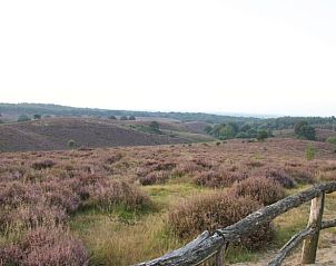 Unterkunft 326809 - Ferienhaus Veluwe - Vakantiehuisje in Klarenbeek