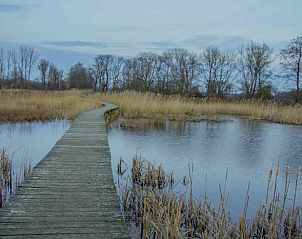 Unterkunft 326809 - Ferienhaus Veluwe - Vakantiehuisje in Klarenbeek