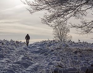 Unterkunft 326809 - Ferienhaus Veluwe - Vakantiehuisje in Klarenbeek