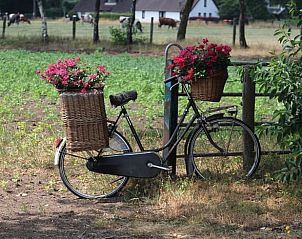 Unterkunft 327005 - Ferienhaus Veluwe - Huisje in Stroe