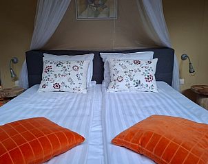 Unterkunft 327011 - Ferienhaus Veluwe - Huisje in Stroe