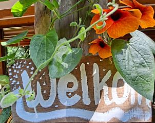 Unterkunft 327011 - Ferienhaus Veluwe - Huisje in Stroe