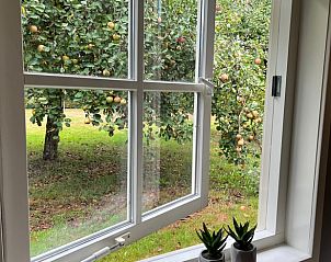 Guest house 327102 - Bed and Breakfast Veluwe - Vakantiehuisje in Beemte Broekland