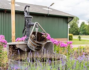Authentieke waterpomp in de tuin van Huisje in Beemte Broekland, vakantiehuis op de Veluwe, Gelderland.