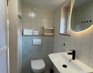 Stijlvolle badkamer met toilet in Vakantiehuisje in Beemte Broekland, Veluwe.