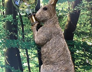 Unterkunft 327302 - Ferienhaus Veluwe - Vakantiehuisje in Hierden